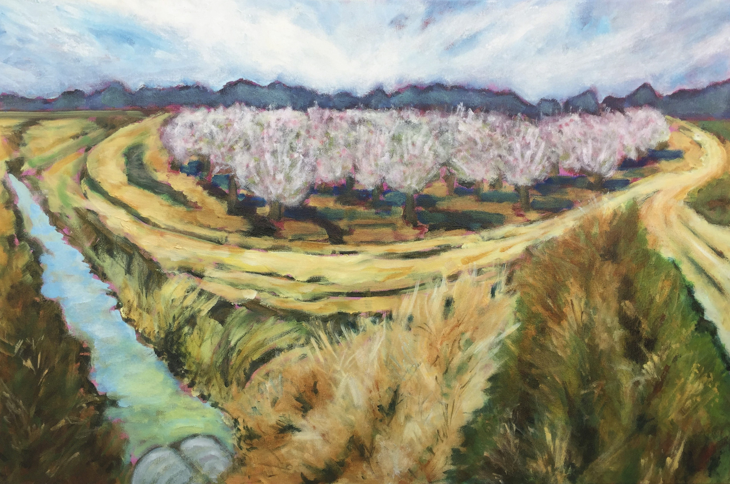 Patrick Cosgrove, Almond Orchard in Bloom, Oil on canvas, 30"x24", $1900